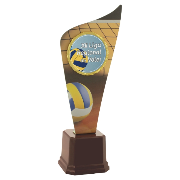 Imagem de TROFÉU EM POLÍMERO, COM CHAPA DE METAL ESTAMPADA EM VINIL - PERSONALIZADO - 46 CM - 401751