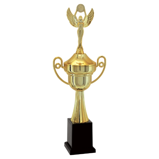 Imagem de TROFÉU TAÇA PEQUENO EM POLÍMERO METALIZADO - 42 CM - 500201-DO