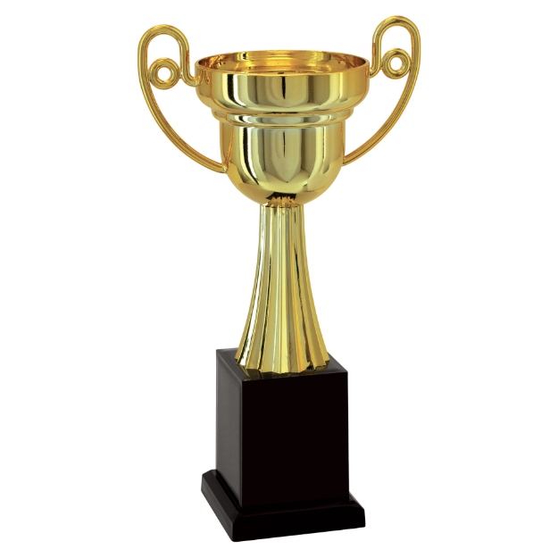 Imagem de TROFÉU TAÇA ABERTA PEQUENO EM POLÍMERO METALIZADO - 27 CM - 500211-DO