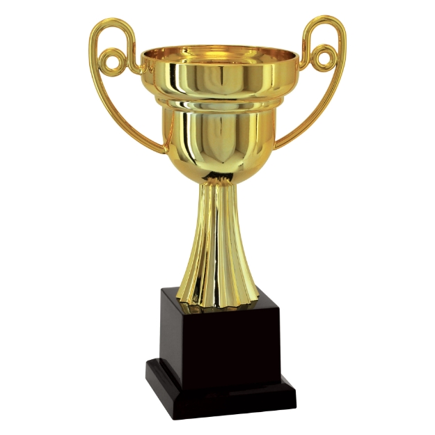Imagem de TROFÉU TAÇA ABERTA PEQUENO EM POLÍMERO METALIZADO - 23 CM - 500212-DO
