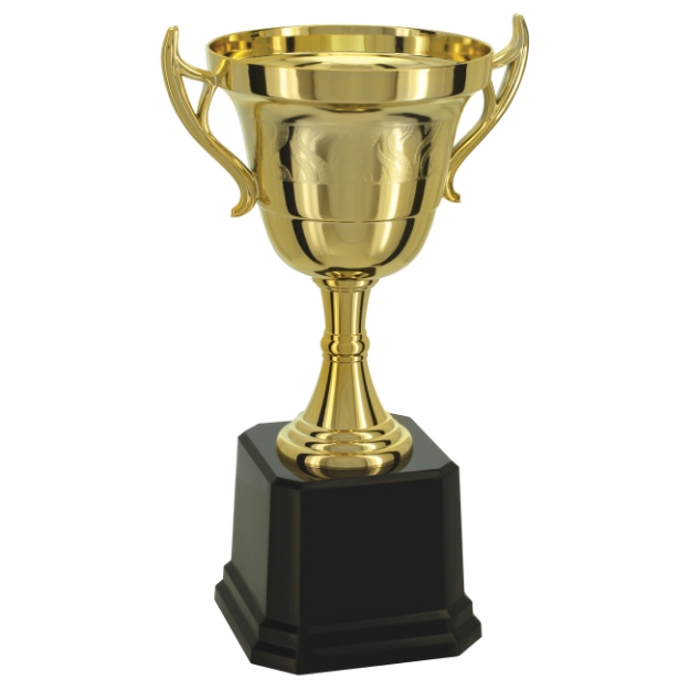 Imagem de TROFÉU TAÇA ABERTA PEQUENO EM POLÍMERO METALIZADO - 31 CM - 501571-DO