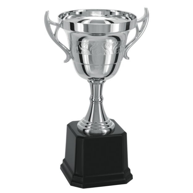 Imagem de TROFÉU TAÇA ABERTA PEQUENO EM POLÍMERO METALIZADO - 27 CM - 501572-PR