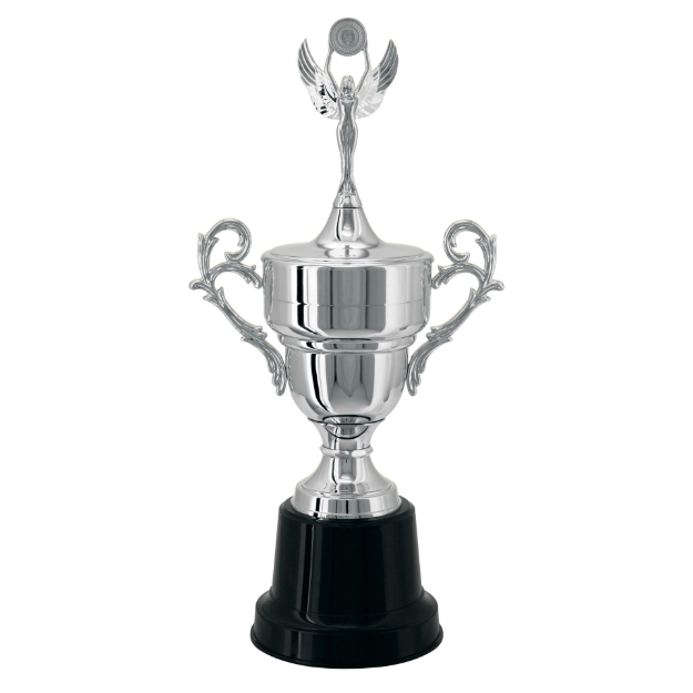 Imagem de TAÇA DE TAMANHO MÉDIO EM POLÍMERO METALIZADO - 700431-PR