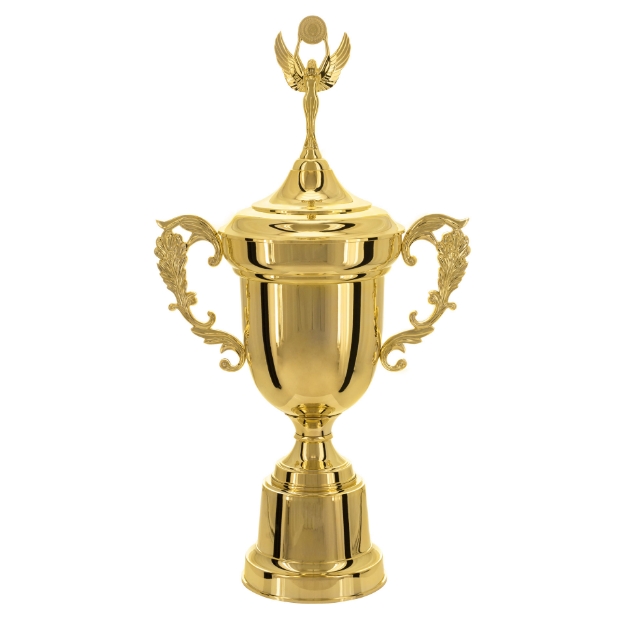 Imagem de TAÇA DE TAMANHO GRANDE EM POLÍMERO METALIZADO - 700450-DO