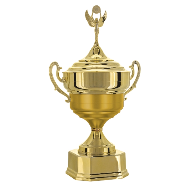 Imagem de TAÇA DE TAMANHO GRANDE EM POLÍMERO METALIZADO - 700581-DOFA