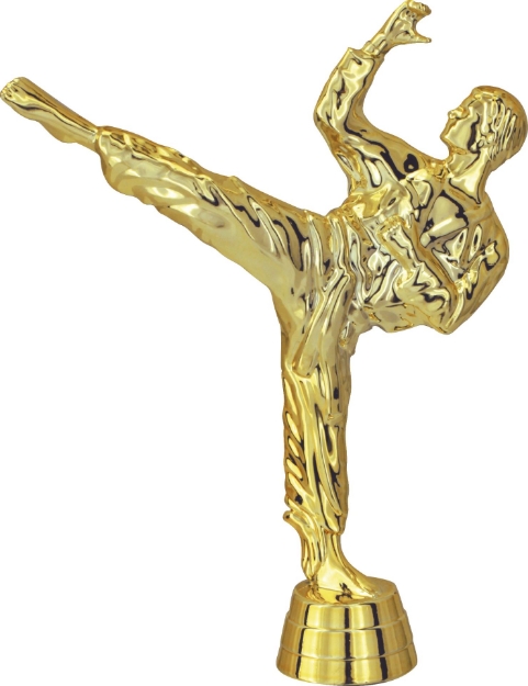 Imagem de FIGURA KARATÊ FKT-001-DO - 13,60 CM
