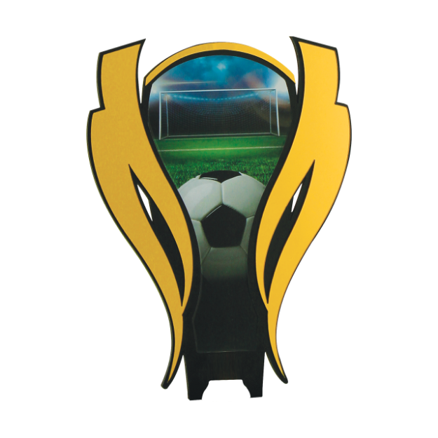 Imagem de PLM-323-FT