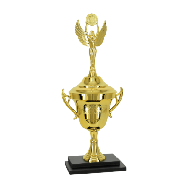 Imagem de TROFÉU PARA PREMIAÇÃO GERAL COM BASE DE MDF E TAÇA METALIZADA - PLM-673-DO