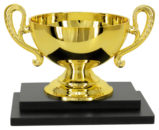 Imagem de TROFÉU PARA PREMIAÇÃO GERAL COM BASE DE MDF E TAÇA ABERTA METALIZADA - PLM-692-DO