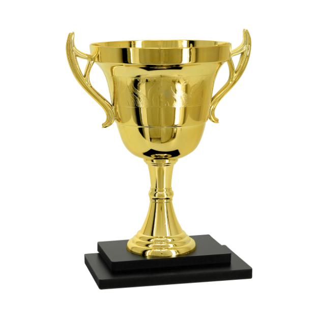 Imagem de TROFÉU PARA PREMIAÇÃO GERAL COM BASE DE MDF E TAÇA METALIZADA - PLM-675-DO