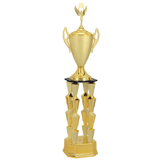 Imagem de TROFÉU GRANDE EM POLIMERO METALIZADO - 200811-DOT