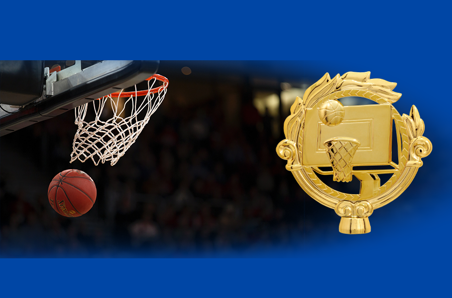 Imagem para a categoria Basquete