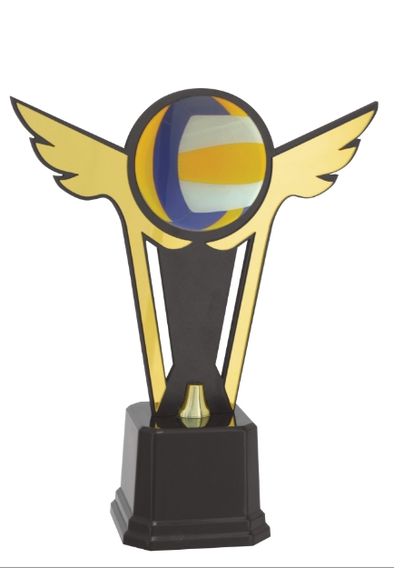 Imagem de TROFÉU COM PLACA DE  MDF E INSERTO DE ACRÍLICO PERSONALIZÁVEL - PLM-802-DO