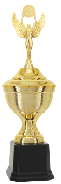 Imagem de TROFÉU TAÇA PEQUENO EM POLÍMERO METALIZADO - 43 CM - 504061-DO