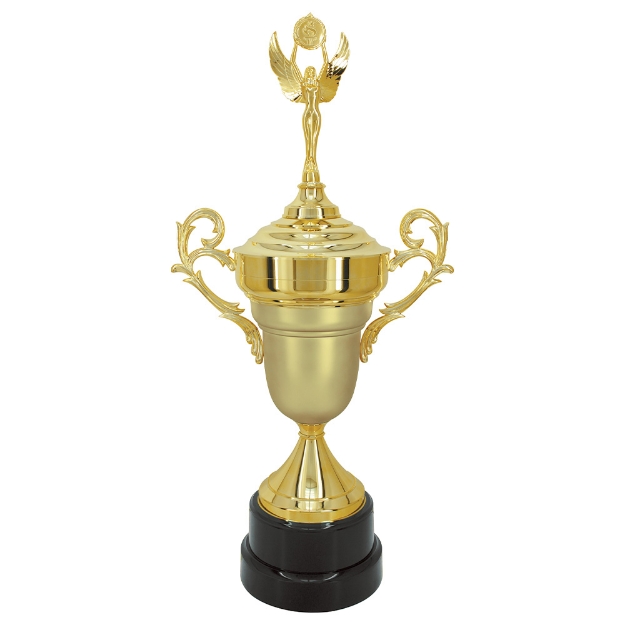 Imagem de TAÇA DE TAMANHO GRANDE EM POLÍMERO METALIZADO - 700800-DOFA