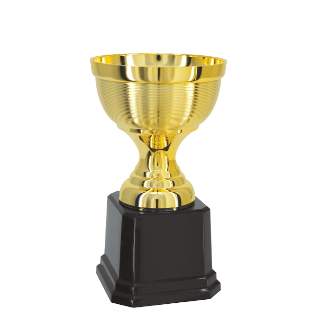 Imagem de TROFÉU TAÇA ABERTA PEQUENO EM POLÍMERO METALIZADO - 17 CM - 504066-DO