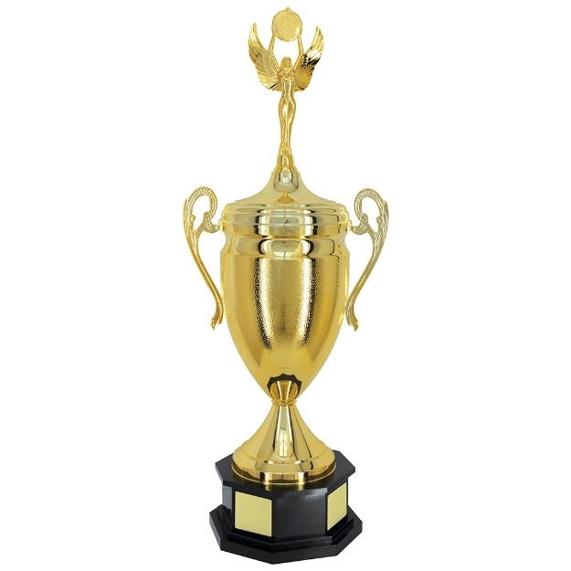 Imagem de TROFÉU GRANDE TRANSITÓRIO COM TAÇA EM METAL - 115 CM - 200860-DO 