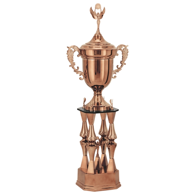 Imagem de TROFÉU GRANDE EM POLÍMERO METALIZADO - 100393-BZN