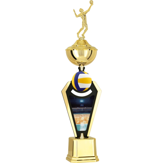 Imagem de TROFÉU PARA ESPORTES DIVERSOS  COM PLACA DE MDF  E ACRÍLICO - PLM-851-VL