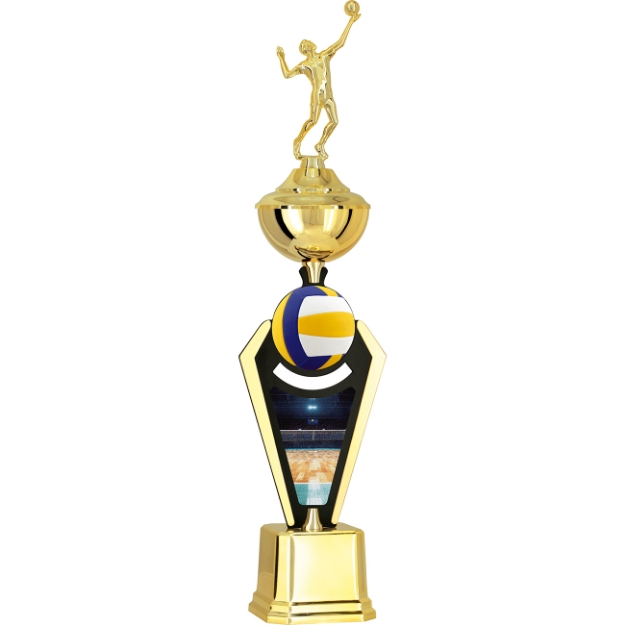 Imagem de TROFÉU PARA ESPORTES DIVERSOS  COM PLACA DE MDF  E ACRÍLICO - PLM-852-VL