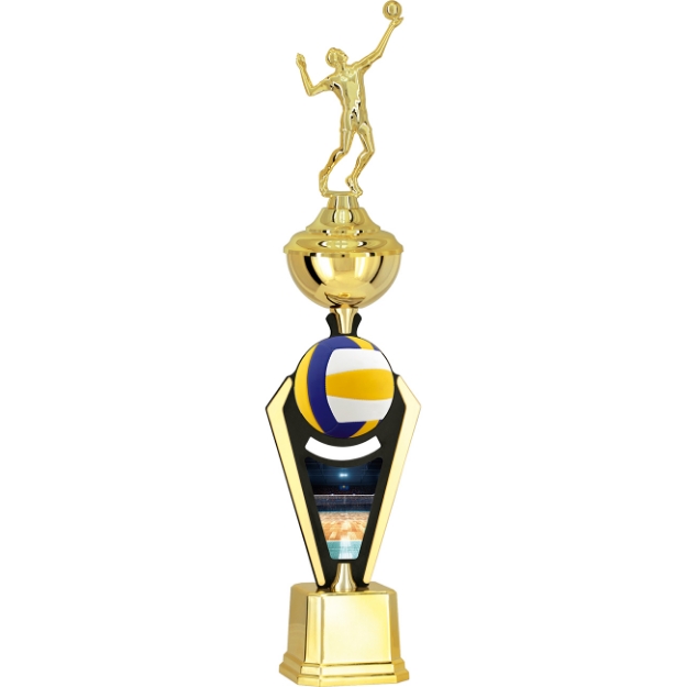 Imagem de TROFÉU PARA ESPORTES DIVERSOS  COM PLACA DE MDF  E ACRÍLICO - PLM-853-VL