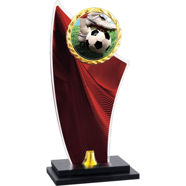 Imagem de TROFÉU COM BASE DE MDF E PLACA DE ACRÍLICO COM RAMO PERSONALIZÁVEL - PLM-861-VM