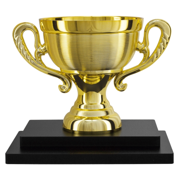 Imagem de TROFÉU PARA PREMIAÇÃO GERAL COM BASE DE MDF E TAÇA METALIZADA - PLM-822-DO