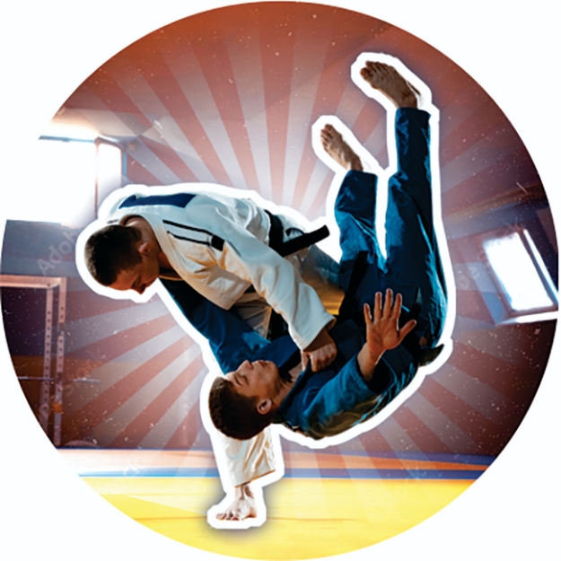 Imagem de ADESIVO MODALIDADE JUDÔ EM VINIL PARA MEDALHA - DA-35-JD