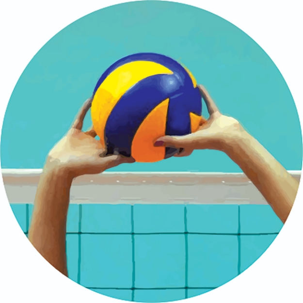 Imagem de ADESIVO MODALIDADE VOLEIBOL EM VINIL PARA MEDALHA - DA-35-VL