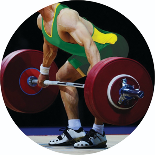 Imagem de ADESIVO MODALIDADE HALTEROFILISMO EM VINIL PARA MEDALHA - DA-35-HTM