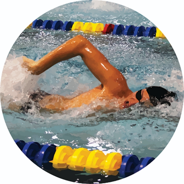 Imagem de ADESIVO MODALIDADE NATAÇÃO MASCULINO EM VINIL PARA MEDALHA - DA-35-NTM