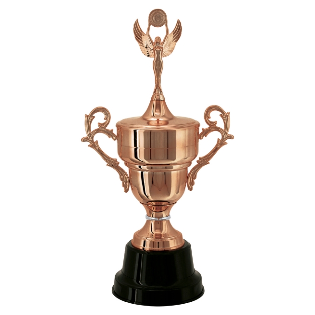 Imagem de TAÇA DE TAMANHO MÉDIO EM POLÍMERO METALIZADO - 700432-BZN