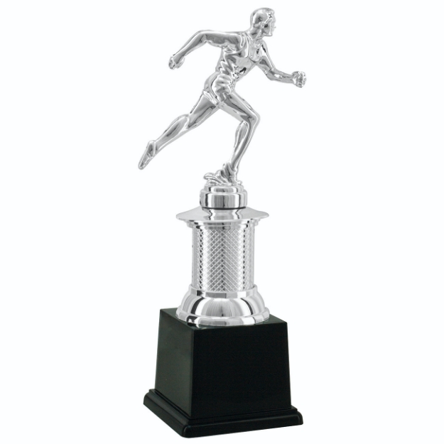 Imagem de TROFÉU PEQUENO EM POLIMERO METALIZADO -  24 CM - 504152-PR