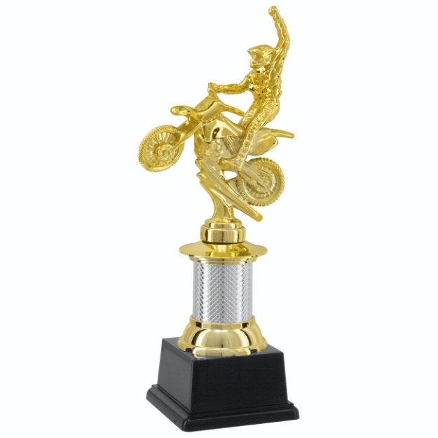 Imagem de TROFÉU PEQUENO EM POLIMERO METALIZADO -  22 CM - 504153-PD